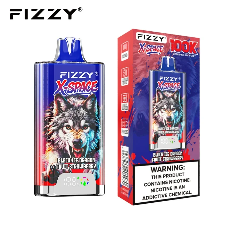 Fizzy X-Space 100K Puffs Einweg Vape Mengenangebot