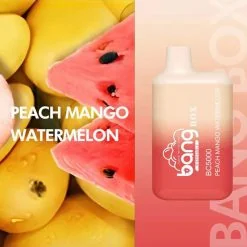 Bang BC5000 Box Einweg Vape Mengenangebot