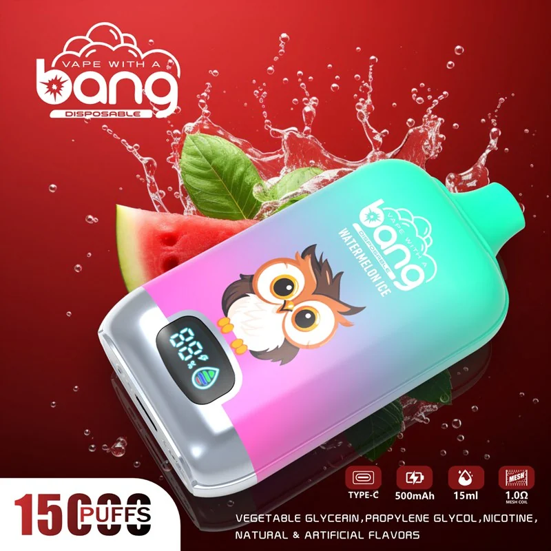 Bang 15000 Puffs Einweg Vape Mengenangebot