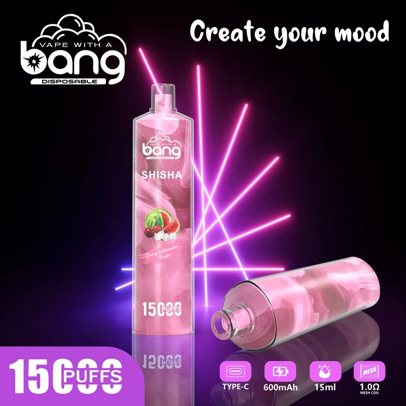 Bang Shisha 15000 Puffs Einweg Vape Mengenangebot