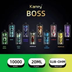 Kamry Boss 10000 Puffs Einweg Vape Mengenangebot
