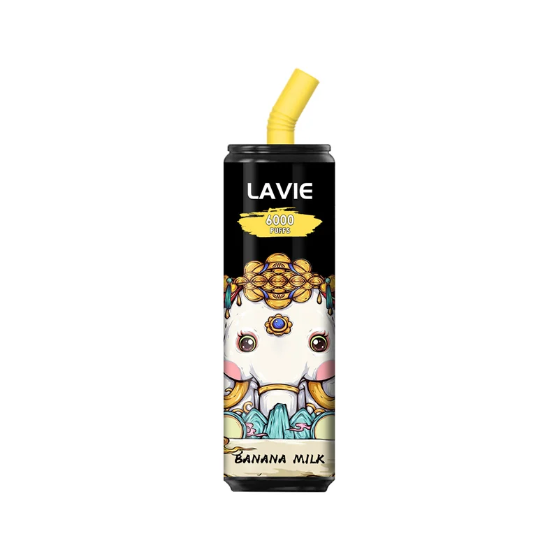 Lavie 6000 Puffs Einweg Vapes Mengenangebot