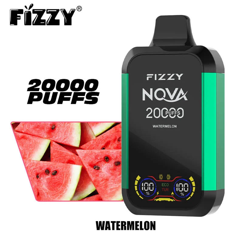 Fizzy Nova 20000 Puffs Einweg Vape Mengenangebot