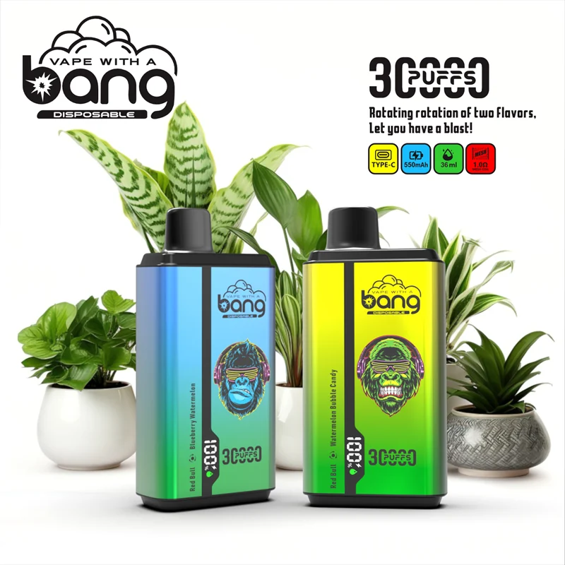 Bang 30000 Puffs Einweg Vape Mengenangebot